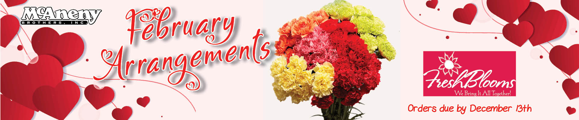 February Arrangements Fresh Blooms 11 13 24