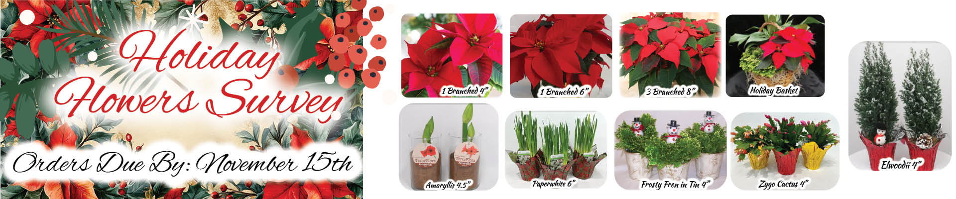 Holiday Flowers Survey Bar 2024