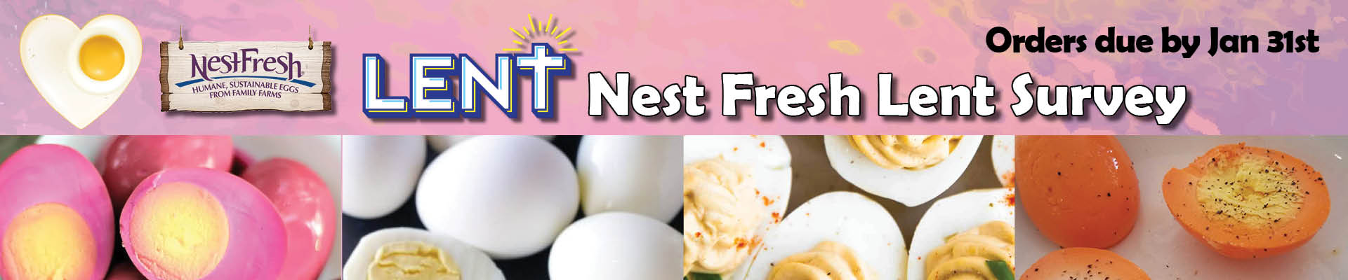 Nest Fresh Lent Survey